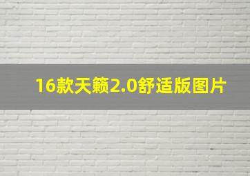 16款天籁2.0舒适版图片