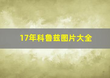 17年科鲁兹图片大全