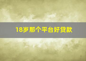 18岁那个平台好贷款