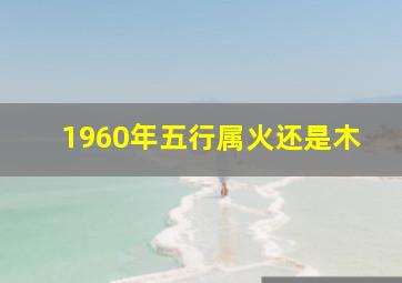 1960年五行属火还是木