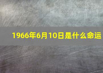 1966年6月10日是什么命运