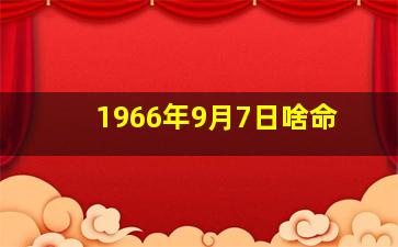 1966年9月7日啥命