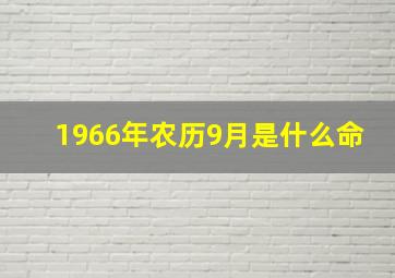 1966年农历9月是什么命