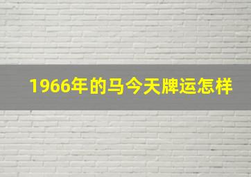 1966年的马今天牌运怎样