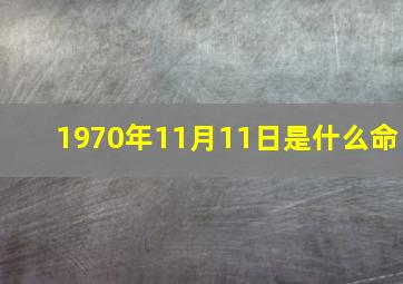 1970年11月11日是什么命