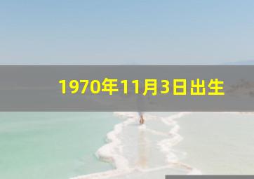 1970年11月3日出生