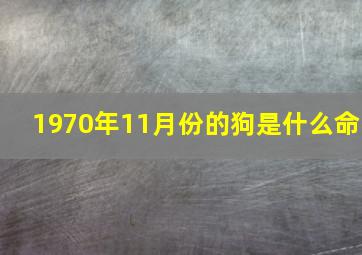 1970年11月份的狗是什么命