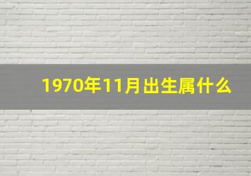 1970年11月出生属什么