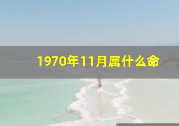 1970年11月属什么命