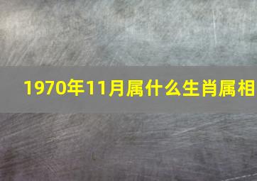 1970年11月属什么生肖属相