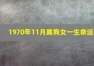 1970年11月属狗女一生命运