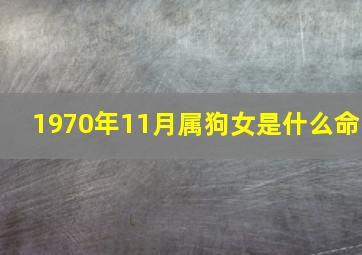 1970年11月属狗女是什么命