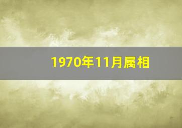 1970年11月属相