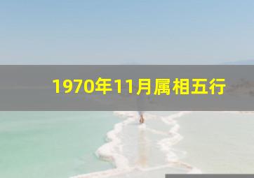 1970年11月属相五行