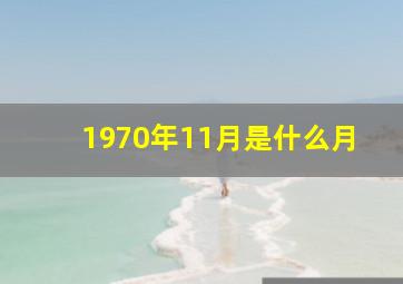 1970年11月是什么月