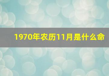 1970年农历11月是什么命