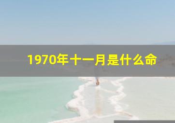 1970年十一月是什么命