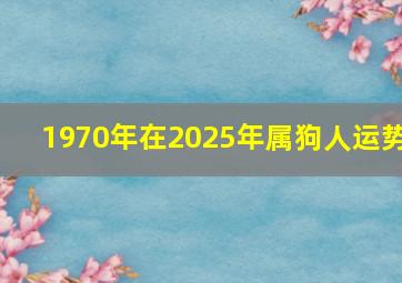 1970年在2025年属狗人运势