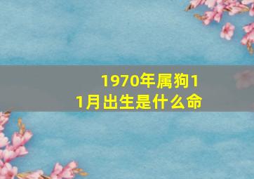 1970年属狗11月出生是什么命