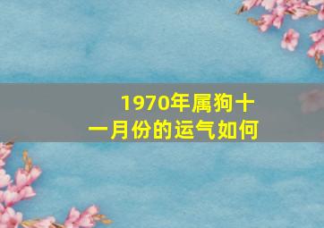 1970年属狗十一月份的运气如何