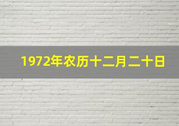 1972年农历十二月二十日