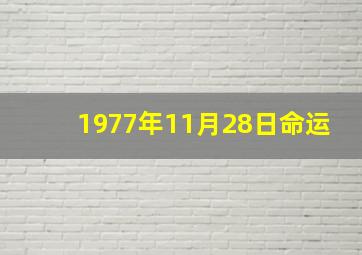 1977年11月28日命运