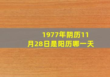 1977年阴历11月28日是阳历哪一天