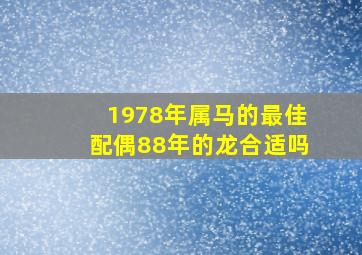 1978年属马的最佳配偶88年的龙合适吗