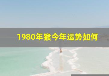 1980年猴今年运势如何