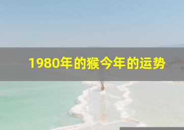 1980年的猴今年的运势