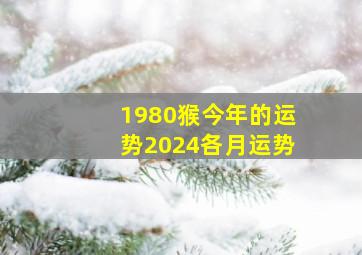 1980猴今年的运势2024各月运势