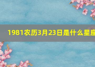 1981农历3月23日是什么星座