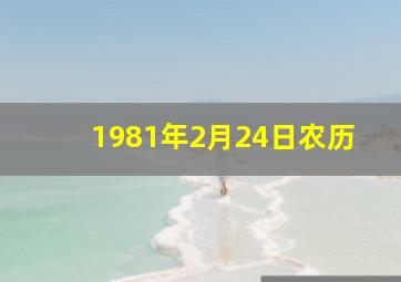 1981年2月24日农历