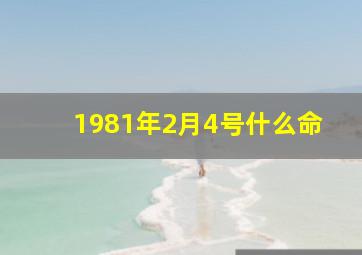 1981年2月4号什么命