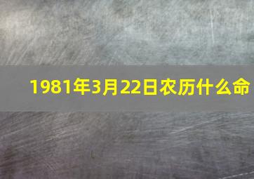 1981年3月22日农历什么命