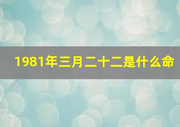 1981年三月二十二是什么命