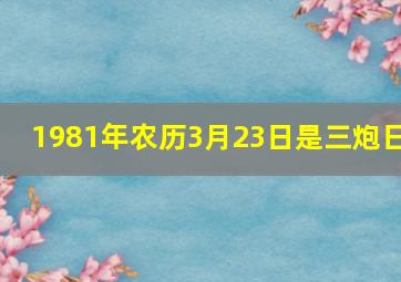 1981年农历3月23日是三炮日