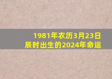 1981年农历3月23日辰时出生的2024年命运