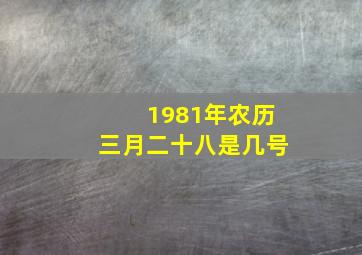 1981年农历三月二十八是几号