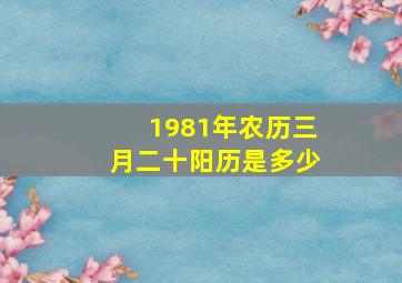 1981年农历三月二十阳历是多少