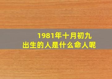 1981年十月初九出生的人是什么命人呢