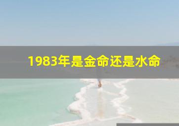 1983年是金命还是水命