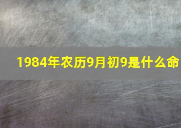 1984年农历9月初9是什么命