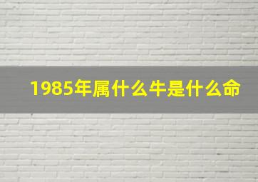 1985年属什么牛是什么命