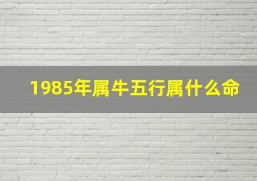 1985年属牛五行属什么命