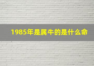 1985年是属牛的是什么命