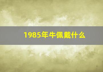 1985年牛佩戴什么