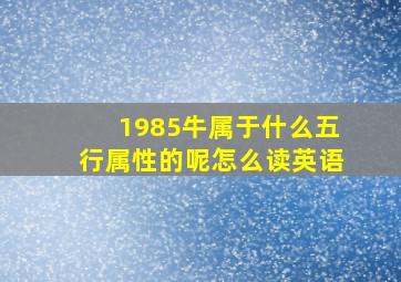 1985牛属于什么五行属性的呢怎么读英语