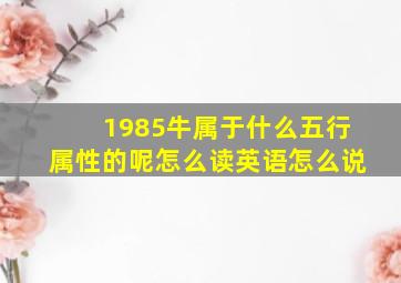 1985牛属于什么五行属性的呢怎么读英语怎么说