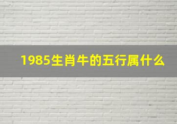 1985生肖牛的五行属什么